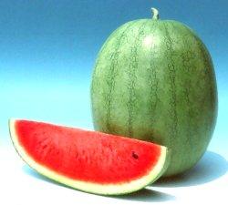 Yamuna/यमुना Hybrid Watermelon (Known You Seeds) - Farmers Stop