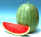 Yamuna/यमुना Hybrid Watermelon (Known You Seeds) - Farmers Stop