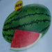 Vasudha/वसुधा Hybrid Watermelon (Known You Seeds) - Farmers Stop