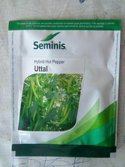 Uttal/उत्तल Hot Pepper (Seminis) - Farmers Stop