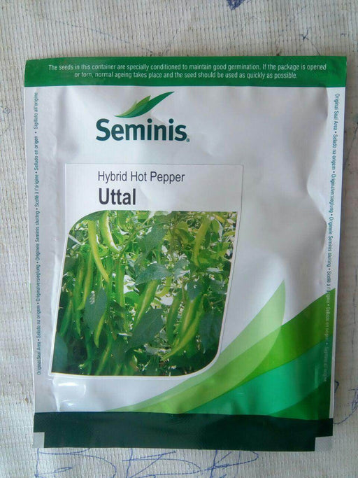 Uttal/उत्तल Hot Pepper (Seminis) - Farmers Stop