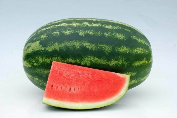 Purna/पूर्ण Hybrid Watermelon (Known You Seeds) - Farmers Stop