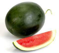 Shyam/श्याम Hybrid Watermelon (Known You Seeds) - Farmers Stop