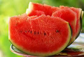 Sarita/सरिता Hybrid Watermelon Ice Box Type-Red Flesh (Known You Seeds) - Farmers Stop