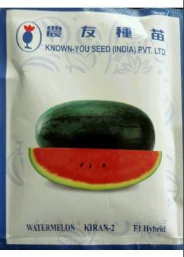 Kiran-2 Hybrid Watermelon Ice Box Type-Red Flesh (Known You Seeds) - Farmers Stop