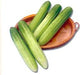 Maria/मारिया IA255 Hybrid Cucumber (Known You Seeds) - Farmers Stop