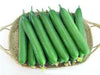 Simar F1 Hybrid Cucumber (Known You Seeds) - Farmers Stop