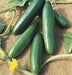 Ruchi/रूचि Hybrid Cucumber (Known You Seeds) - Farmers Stop