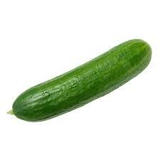 Khushi/ख़ुशी Hybrid Cucumber (Known You Seeds) - Farmers Stop