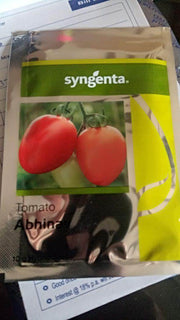 Abhinav/अभिनव Tomato (Syngenta) - Farmers Stop
