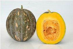 Deesha/दिशा Winter Squash (Pumpkin) (Known You Seeds) - Farmers Stop