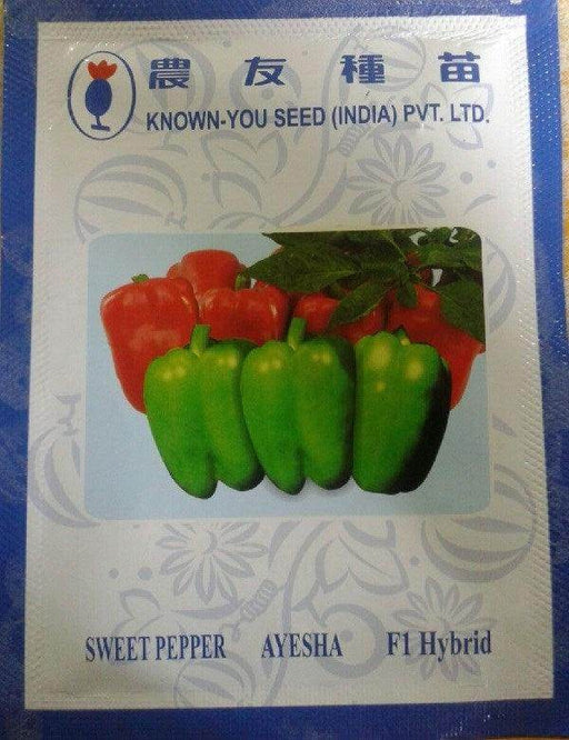 Ayesha/आयेशा Hybrid Sweet pepper (Known You Seeds) - Farmers Stop