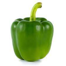 Fiza/फ़िज़ा Green Hybrid Sweet pepper (Known You Seeds) - Farmers Stop