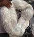 Narrow woven fabric thread for Polyhouse - Farmers Stop