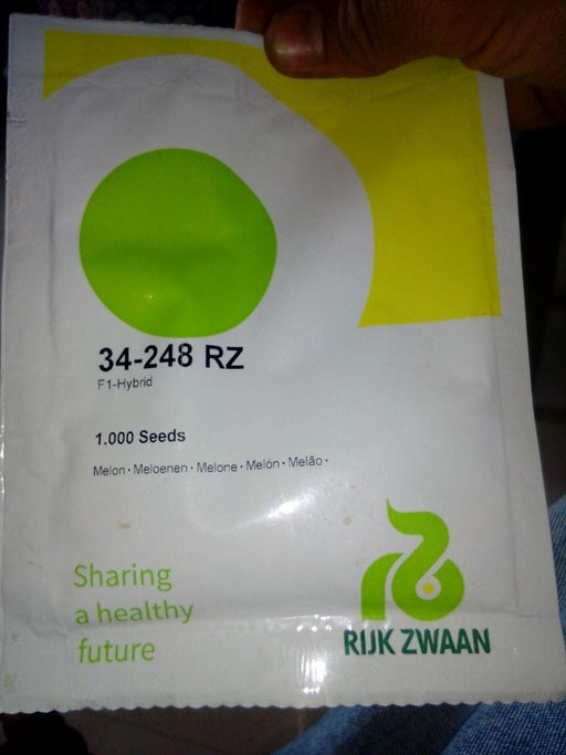 34-248 RZ Muskmelon for Polyhouse (Rizk Zwaan) - Farmers Stop