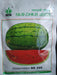 NS 295 Watermelon (Namdhari) - Farmers Stop