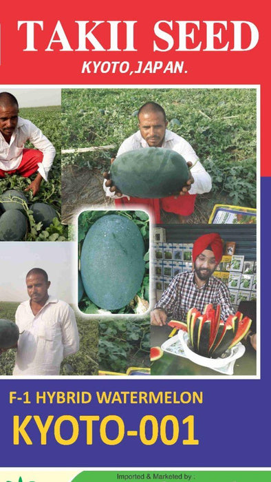Kyoto 001 Hybrid Watermelon (Takii Seeds) - Farmers Stop