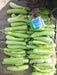 Rasili Bottlegourd (Sagar Biotech) - Farmers Stop