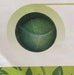 Chanda/चंदा Cabbage  (East West Seeds) - Farmers Stop