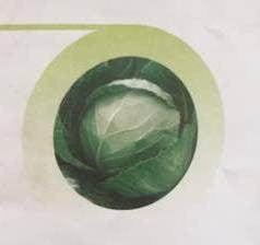 Asha/आशा Cabbage (East West Seeds) - Farmers Stop