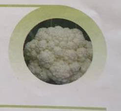 Atria/अटरिया F1 Cauliflower (East West Seeds) - Farmers Stop