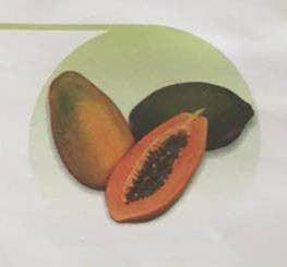 Sapna/सपना F1 Papaya (East West Seeds) - Farmers Stop
