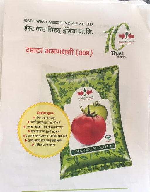 Arundhati/अरुंधति 809 Tomato (East West Seeds) - Farmers Stop
