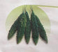 Palee/पाली Bittergourd (East West Seeds) - Farmers Stop