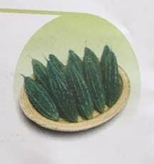 Prachi/प्राची Bittergourd (East West Seeds) - Farmers Stop