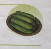 Nazia/नाज़िआ Cucumber (East West Seeds) - Farmers Stop
