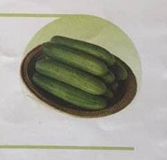 Nazia/नाज़िआ Cucumber (East West Seeds) - Farmers Stop