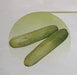 Encounter/एनकाउंटर Cucumber (East West Seeds) - Farmers Stop