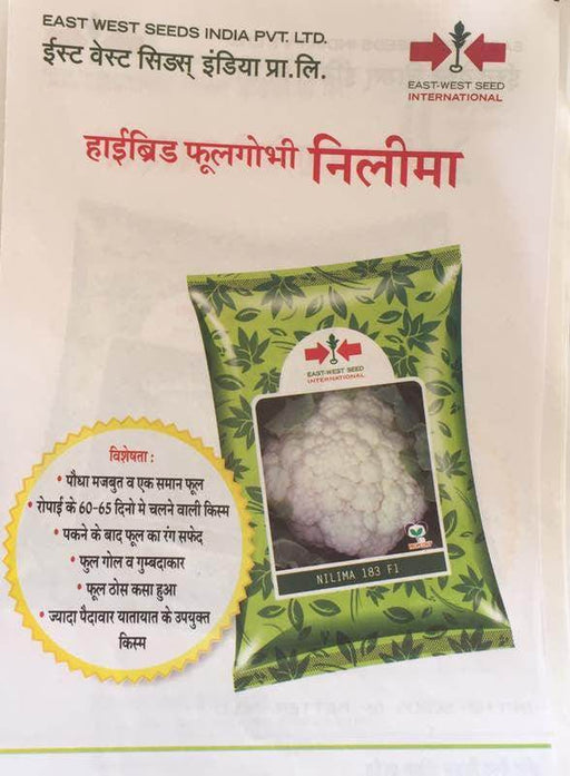Nilima/नीलिमा F1 Cauliflower (East West Seeds) - Farmers Stop