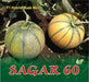 Sagar/सागर 60 F1 Muskmelon (Sagar Seeds) - Farmers Stop