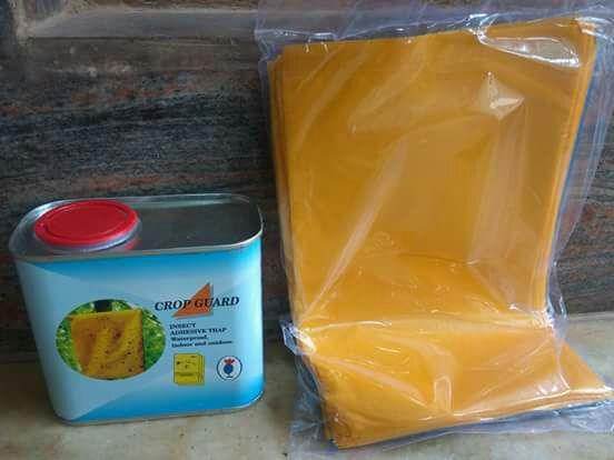 Crop Guard/क्रॉप गार्ड  Fruit Fly Sticking Solution (Know You) - Farmers Stop