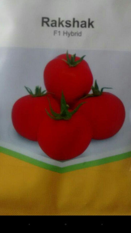 rakshak/रक्षक tomato (nunhems)