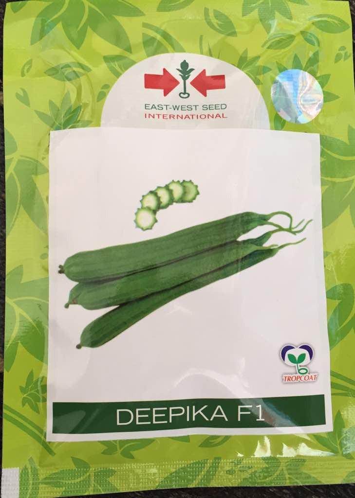 Deepika/दीपिका F1 Ridgegourd तोरई (East West Seeds) - Farmers Stop