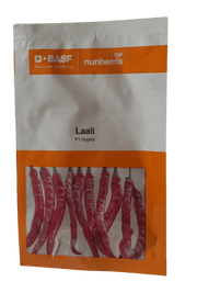 Laali F1 Hybrid Chilli/Hotpepper (BASF-Nunhems) - Farmers Stop