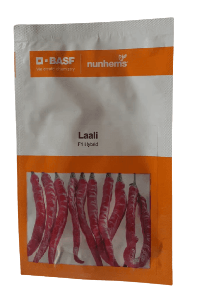 Laali F1 Hybrid Chilli/Hotpepper (BASF-Nunhems) - Farmers Stop