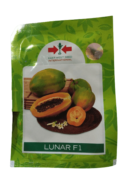 Lunar F1 Papaya (East West Seeds) - Farmers Stop