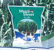 Mega sweet Forage (मेगा स्वीट चारा बीज) (Advanta) - Farmers Stop