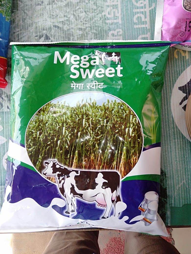 Mega sweet Forage (मेगा स्वीट चारा बीज) (Advanta) - Farmers Stop