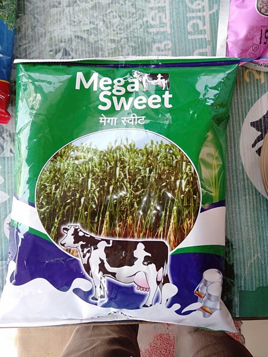 Mega sweet Forage (मेगा स्वीट  चारा बीज) (Advanta) - Farmers Stop