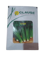 ISTAR Celery (Clause Seeds) - Farmers Stop