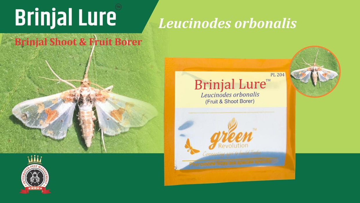 Leucinodes Orbonalis Brinjal Lure & Pheromone Water Trap - Green Revolution - Farmers Stop