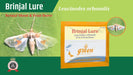 Leucinodes Orbonalis Brinjal Lure & Pheromone Water Trap - Green Revolution - Farmers Stop