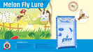 MELON FLY AND PHEROMON TRAP- BACTROCERA CUCURBITAE( GREEN REVOLUTION) - Farmers Stop