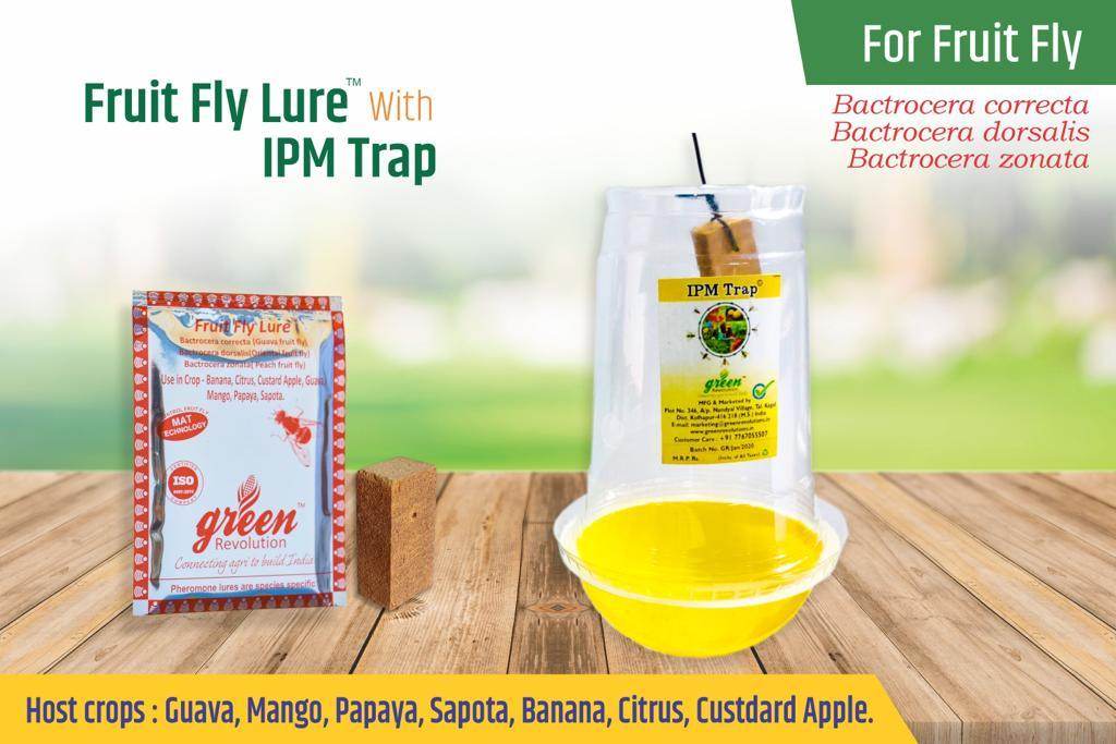 FRUIT FLY AND PHEROMON TRAP-BACTROCERA CORRECTA, DORSALIS, ZONATA(GREEN REVOLUTION) - Farmers Stop