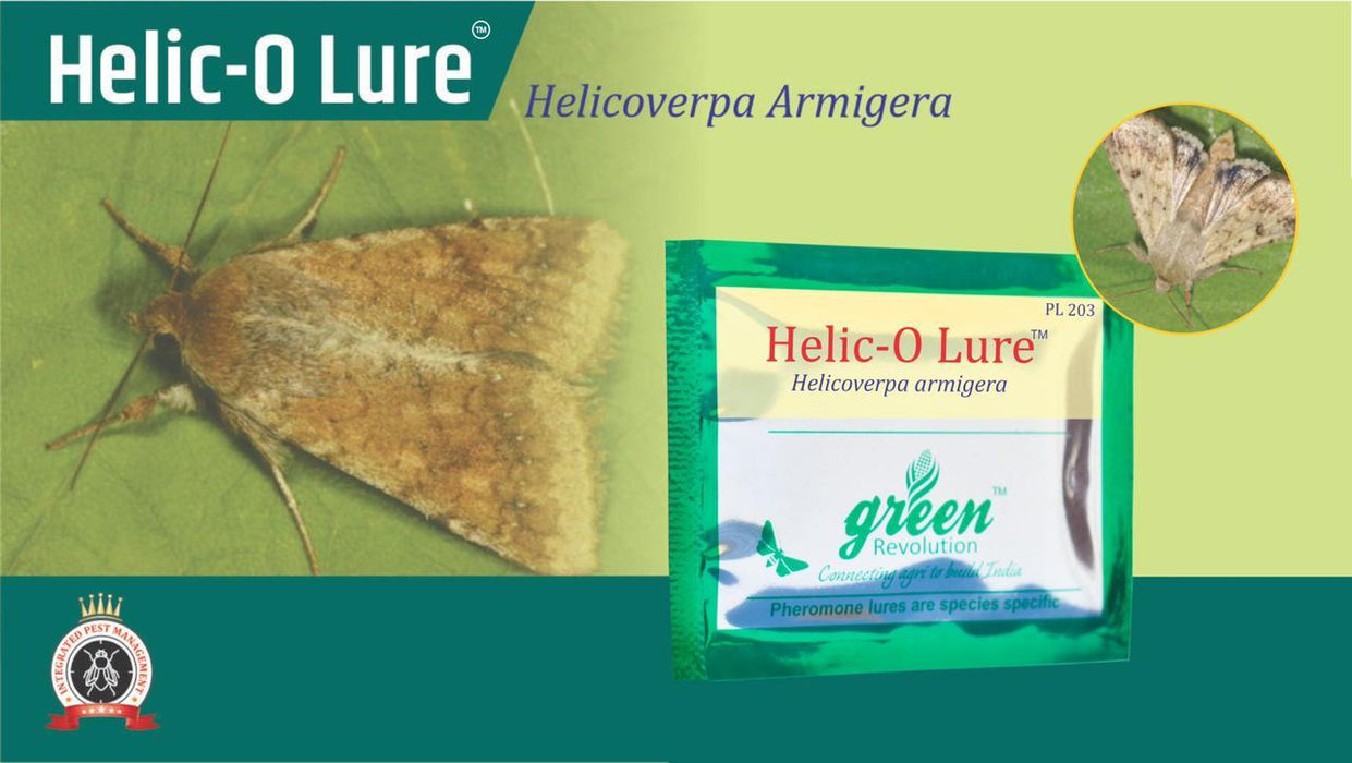 HELIC-O-LURE AND PHEROMON TRAP-HELICOVERPA ARMIGERA(GREEN REVOLUTION) - Farmers Stop