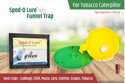 SPOD-O-LURE AND PHEROMON TRAP-SPODOPTERA LITURA(GREEN REVOLUTION) - Farmers Stop